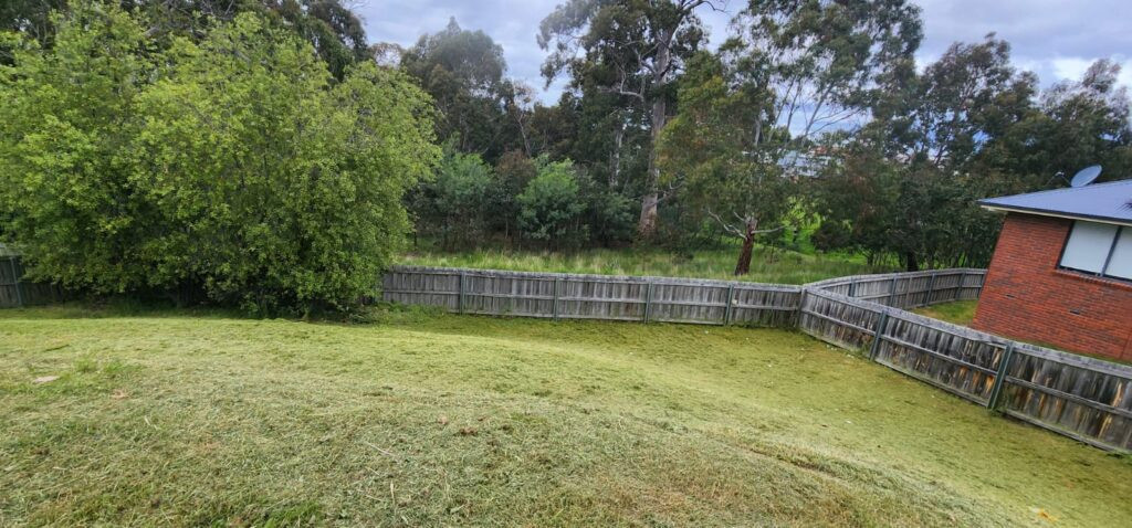 lawn mowing services