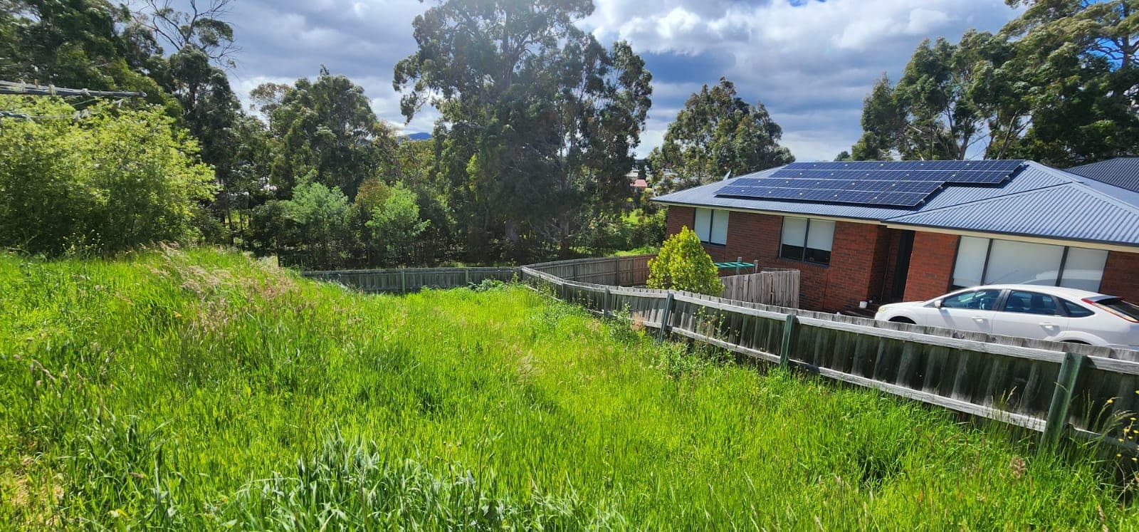 grass slashing services hobart