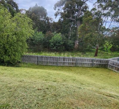 slashing services hobart